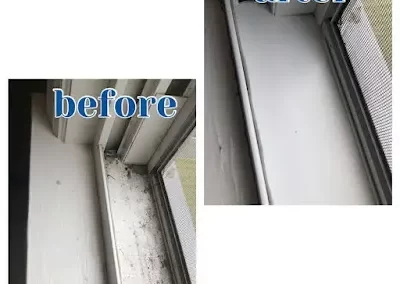 Home Cleaning Service